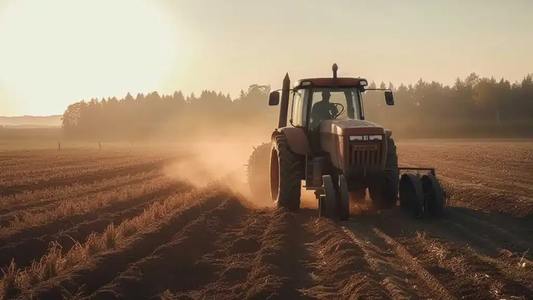 Försörjningsberedskap i krig och kris – lärdomar från Ukraina och förutsättningar för Sverige